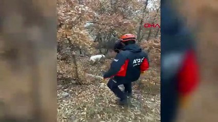 5 gündür kayıp olarak aranan çocuk ölü bulundu; arkasında bu mektubu bırakmış!