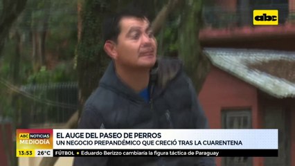 El auge del paseo de perros