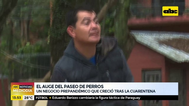 El auge del paseo de perros