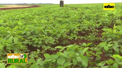 ABC Rural: Programa de agricultura sustentable del Inbio