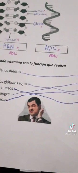 Docente corrige exámenes con memes