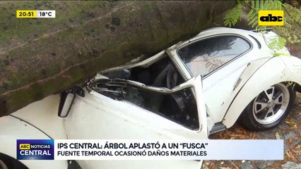 Árbol aplastó un fusca