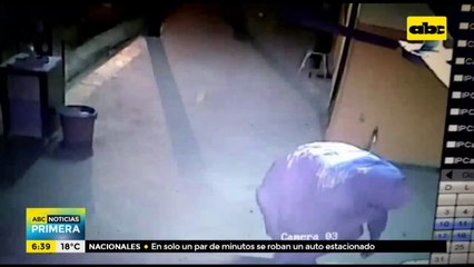 Detienen a "fantasma" que habría entrado a robar en escuela