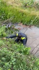 Así quedó uno de los vehículos durante la competencia