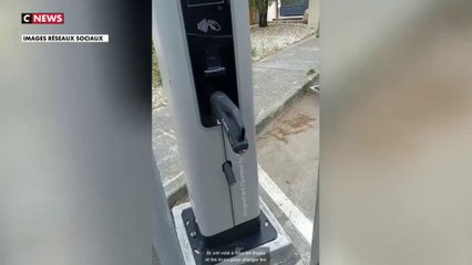 Voitures électriques : le vol des câbles des stations de plus en plus fréquent