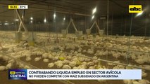 Denuncian masivo contrabando de huevos