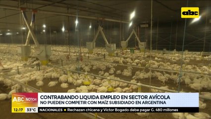 Contrabando liquida empleo en sector avícola, afirman