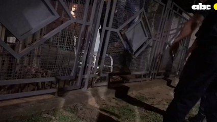 Tras Una Persecución Policial Capturan A Un Joven Con Varias óRdenes De Captura En Villarrica