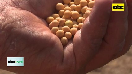 ABC Rural: Siembra con suelo húmedo o suelo seco y otros detalles