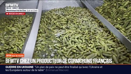 Alors que les Français sont les plus gros consommateurs de cornichons au monde, ce producteur veut mettre en avant la production française