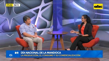 Día nacional de la mandioca, la producción, el consumo y su comercialización