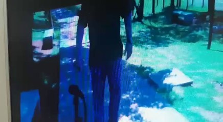 Miguel Prieto asume la intendencia como un “pop star”,