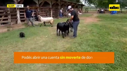 Expo Guairá Genera Altas Expectativas