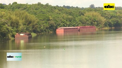 ABC RURAL: Situación de puerto en Capitán Meza, 8 meses sin embarcar