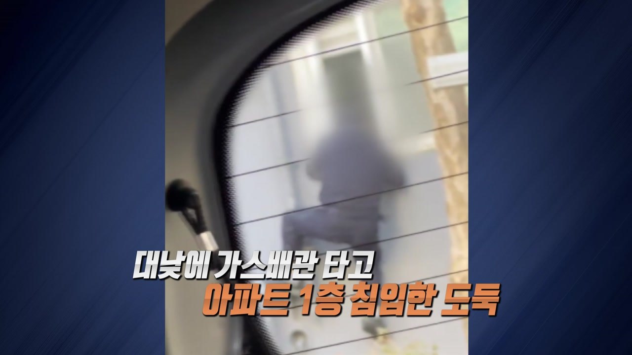"스타벅스가 술집?"...치킨에 소주 먹은 중국인 관광객 [앵커리포트] / YTN