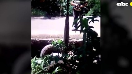 Nula Señalización De Puente Ocasiona Accidente En Luque