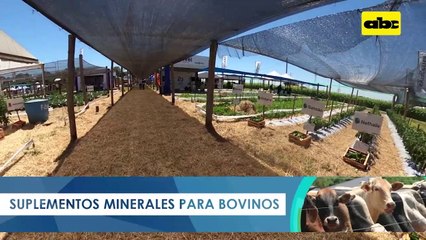 ABC RURAL: Presentaron nuevos materiales de Syngenta en Hortipar
