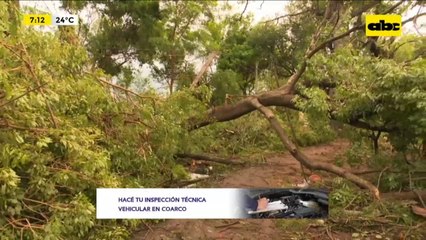 Árboles destrozaron viviendas del Parque Caballero