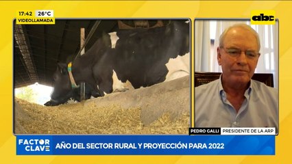 El 2021 fue un año de crecimiento y de grandes pérdidas, señala ARP
