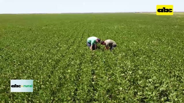 ABC RURAL: Uso de biológicos en combinación para todo tipo de suelos
