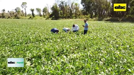 ABC RURAL: Productor adopta Tecnología 5.0 y explica sus ventajas