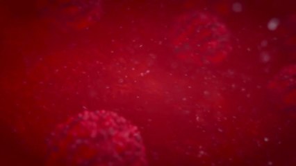 Mutaciones Del Virus