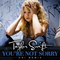 You’re Not Sorry (CSI Remix) - Taylor Swift (2008)2nd single from Fearless