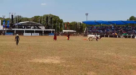 Así se vivió la Fiesta de la Tradición Misionera