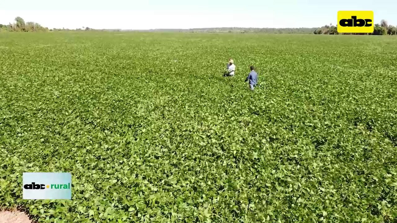 ABC RURAL: Tecnología 5.0 llega al productor del Agro a través de canales comerciales