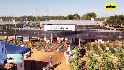 ABC RURAL: Bioestimulante para cultivos hortícolas con deficiencia de calcio