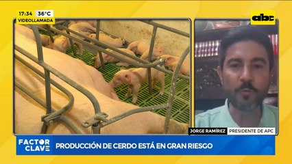 Producción de cerdo está en gran riesgo