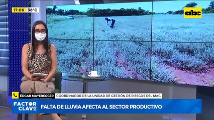 Falta de lluvia afecta al sector productivo