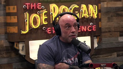 The Joe Rogan Experience S2025E168 #2417 Ben van Kerkwyk
