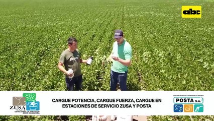 ABC RURAL: Resultados del uso de biológicos y buena nodulación de soja