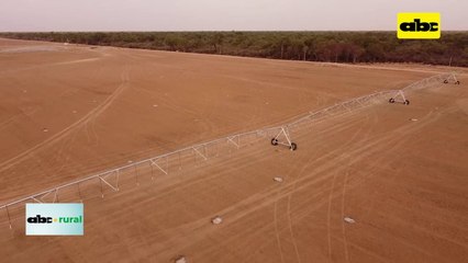 ABC RURAL: Construcción de semillería del Chaco
