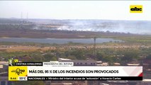 INFONA: Más del 95 por ciento de los incendios son provocados