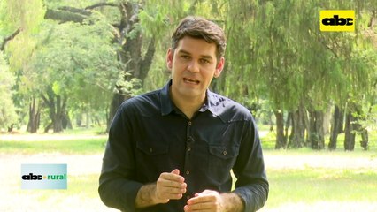 Manejo nutricional de vacas lecheras mestizas