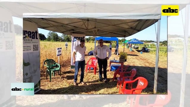 ABC RURAL: Great Seeds presente en Pirapo con variedades