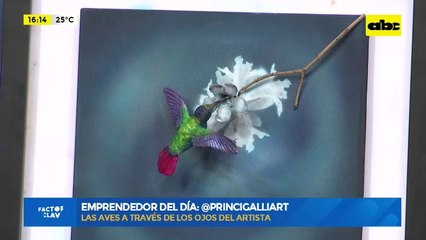 Princi GalliArt, las aves retratadas en cuadros artísticos