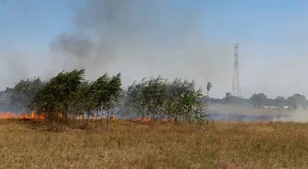 Quemazones continúan en zona rural de Ayolas