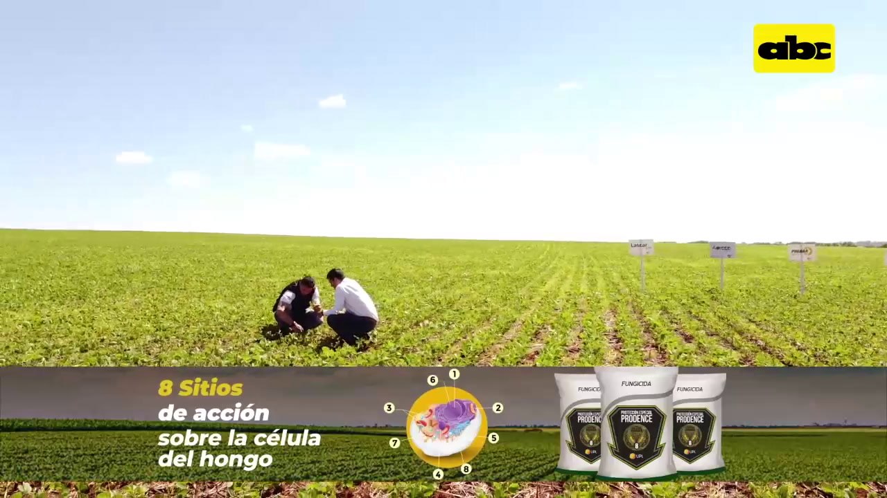 Portafolio de productos UPL en Sommerfeld