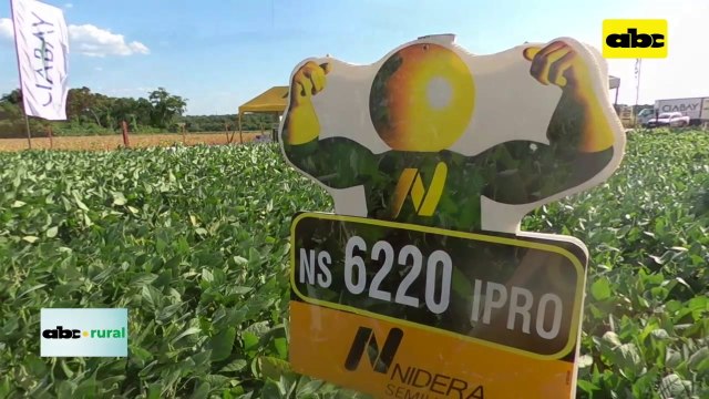 Variedades de soja en Jornada de Campo en Agrodinámica