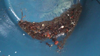 10 Su Depo Temizliği Bakın Ne Çıktı? (Depo Temizlendikten Sonra 11.Video) Telefon Aşağıda