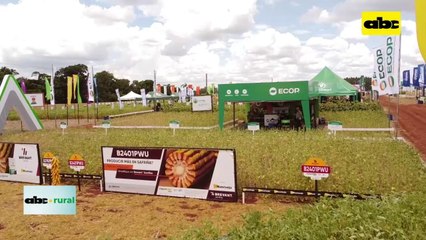 Productor debe analizar su campo y realizar fertilizaciones