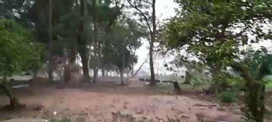 Una tormenta de cenizas y tierra azota a Ayolas