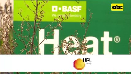 Manejo de herbicidas, y que puede pasar si no se controlan las malezas