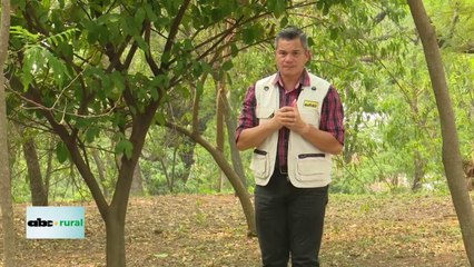 Variedades de soja en menos tiempo, con marcadores moleculares