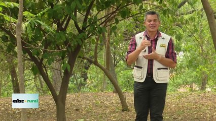 Polímero hidrogel para retener agua y ayudar a raíces de cultivos