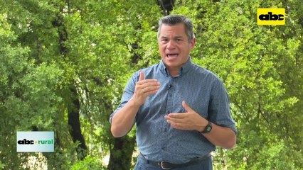 Uso del Salient para el control de plagas en soja y maíz