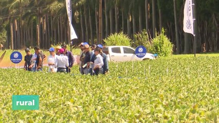 Estrategia de manejo de enfermedades en soja en el Corteva Day